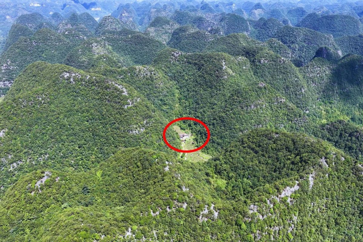 Nas montanhas de Guizhou, uma família mantém autossuficiência entre vales e cães fiéis, vivendo há décadas em harmonia com a natureza.