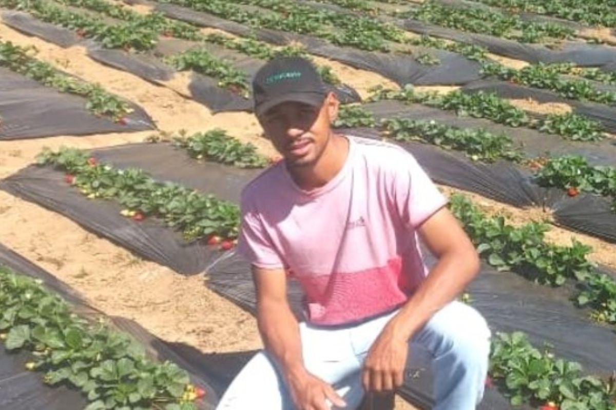 O Programa Futuro no Campo, criado pela Empresa de Assistência Técnica e Extensão Rural do Estado de Minas Gerais (Emater-MG), vem transformando o cenário rural ao incentivar jovens agricultores a inovar e empreender no campo