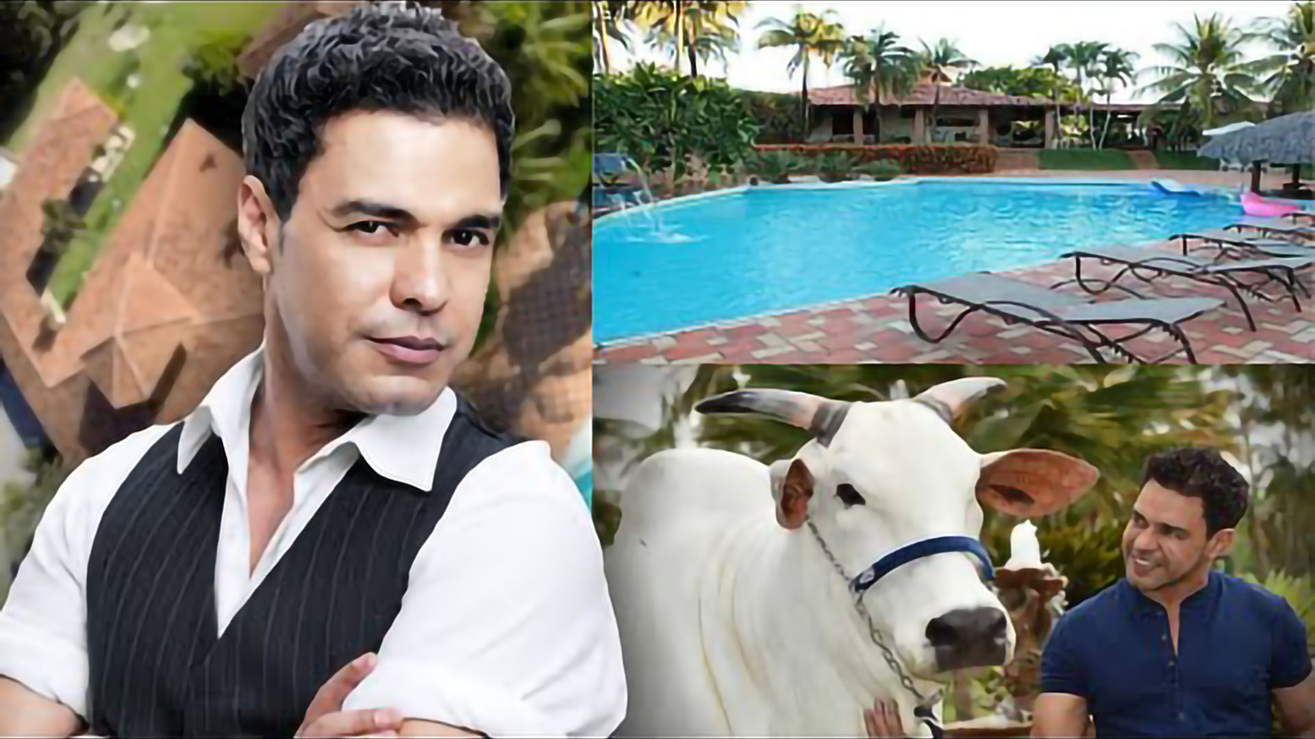 Zezé Di Camargo tem fazenda de 1.500 ha avaliada em R$ 65 milhões, que abriga vacas que podem valer até R$ 1,5 milhão