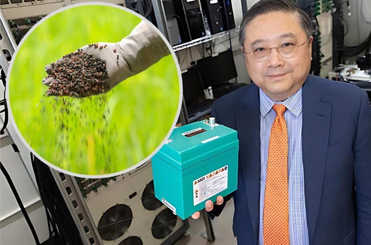 Cientistas dos EUA convertem baterias de veículos elétricos em fertilizantes ricos em nutrientes, unindo reciclagem sustentável e fortalecimento da agricultura nacional