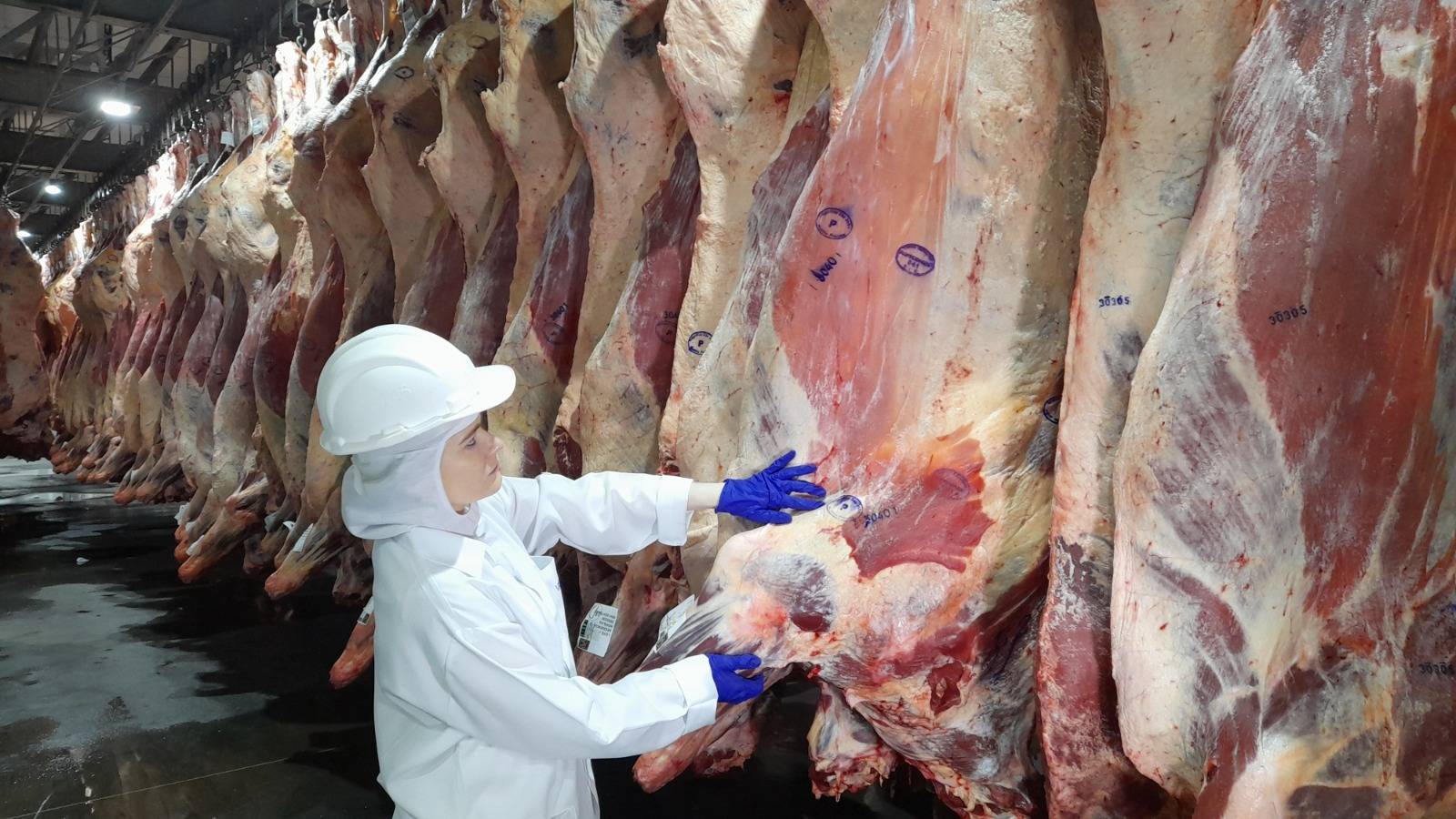 Os 10 maiores frigoríficos do Brasil faturam mais de R$ 90 bilhões e reforçam a liderança global do país nas exportações de carne bovina.