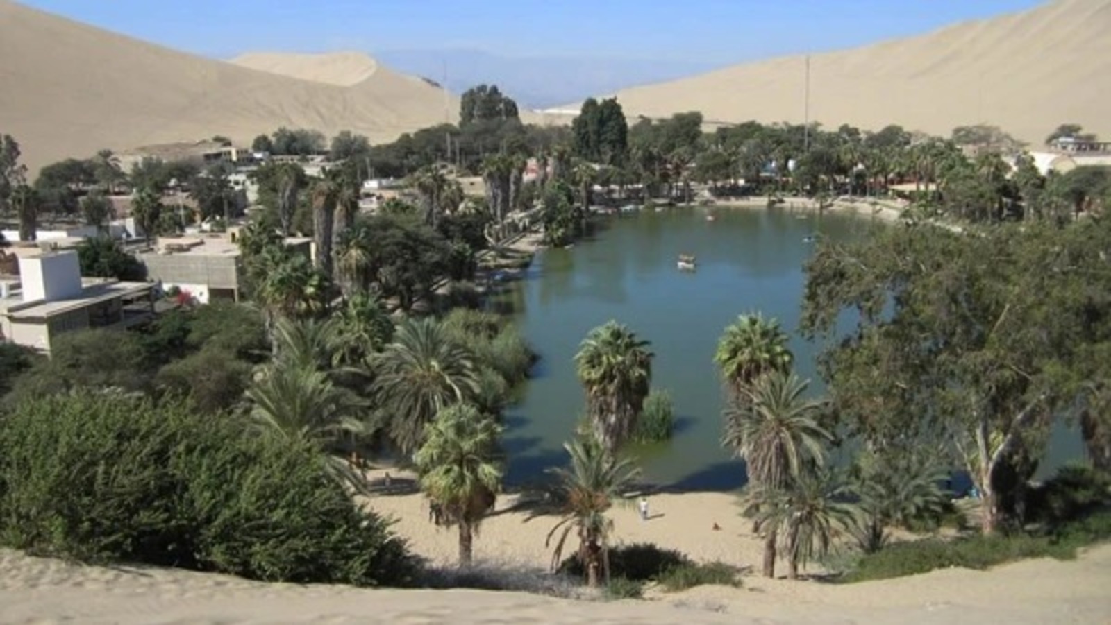 Oásis, Deserto, Peru, Oásis no deserto