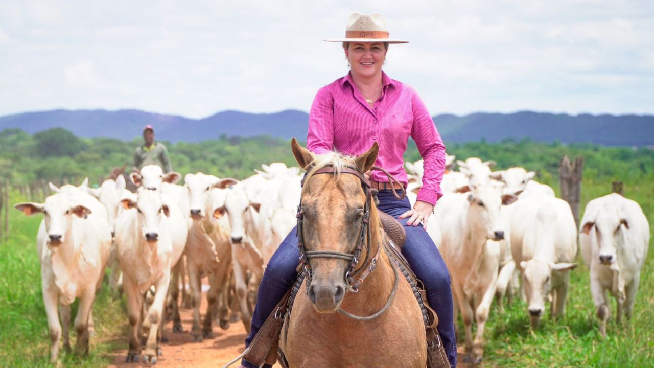 A “dama do agro” revelou sua trajetória no agronegócio ao transformar 35 bois em uma boiada. Saiba como ela fez isso, onde e por que, com estratégia e visão.