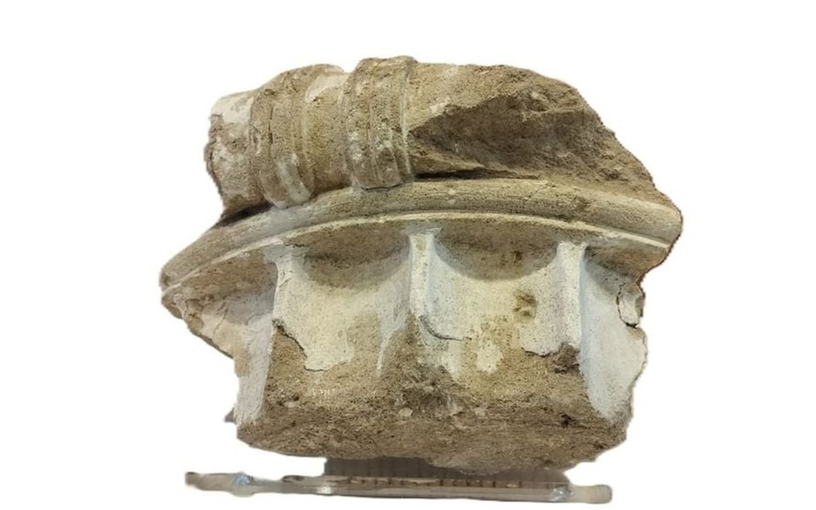 Fragmento de capitel jônico ficou fora da Grécia por seis décadas