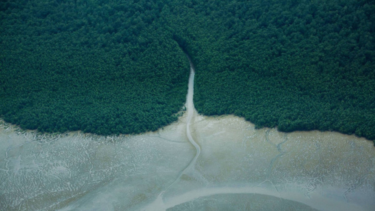 A Petrobras recebeu autorização do Ibama para iniciar a perfuração de um poço exploratório na Foz do Amazonas. O projeto, considerado estratégico para o futuro do petróleo brasileiro, divide opiniões entre governo, ambientalistas e setor energético. Fonte: Greenpeace