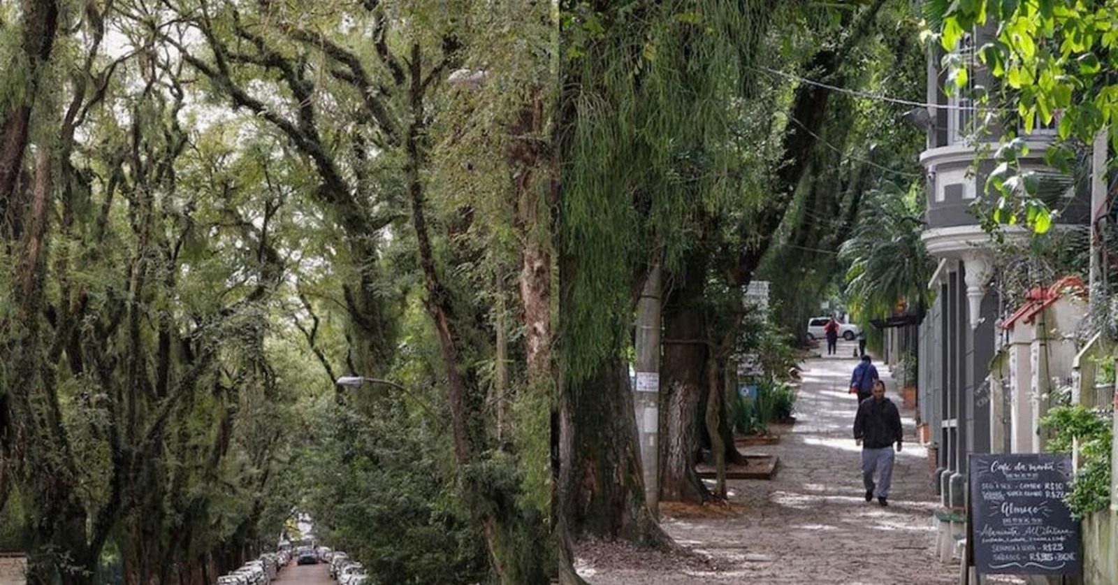 Rua mais bonita do mundo, Rua, rua Gonçalo de Carvalho