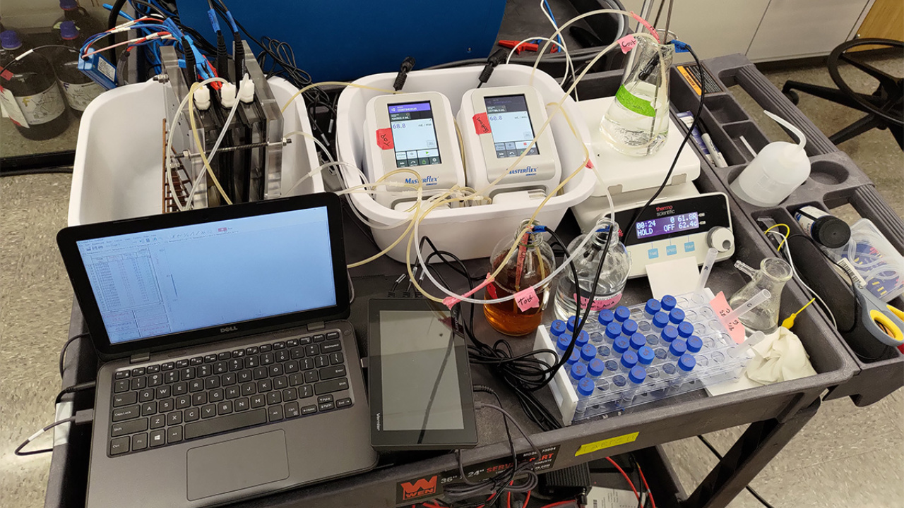 Com uso de energia solar, cientistas da USP e da Universidade Stanford desenvolvem o Solar-ECS, um sistema que converte urina em fertilizante nitrogenado de baixo custo, oferecendo alternativa ecológica à produção industrial tradicional. Fonte: Jornal da USP