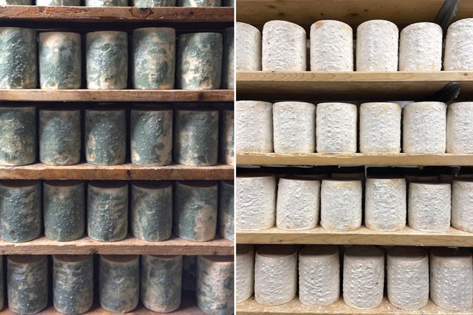 Fungos, Queijo, Caverna