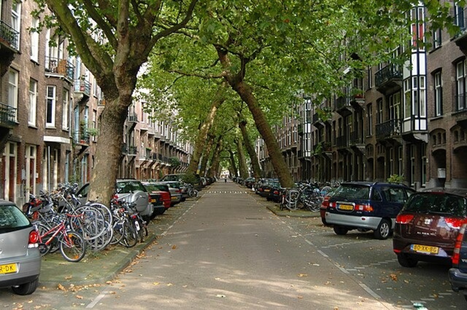 Rua, Árvores, Lomanstraat