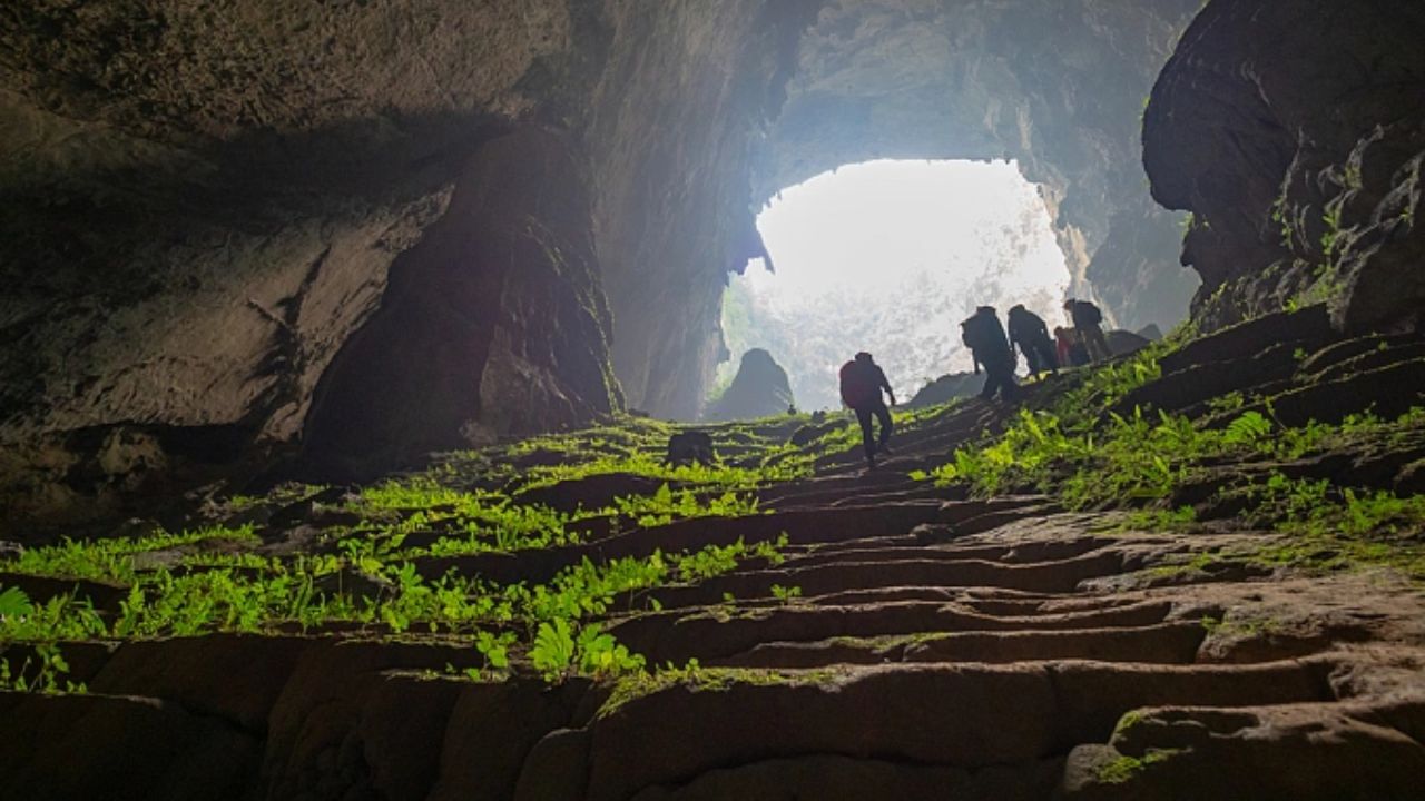 A maior caverna da Terra revela floresta pré-histórica viva nuvens, rios subterrâneos, espécies únicas, fósseis ancestrais e um mundo colossal
