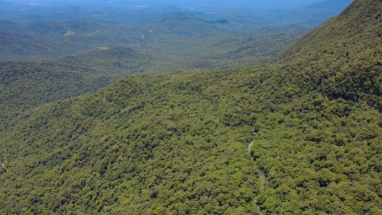 A travessia mais exuberante do Paraná: Estrada da Graciosa revela mata atlântica vibrante, flores selvagens, mirantes incríveis e o charme histórico de Morretes e Antonina