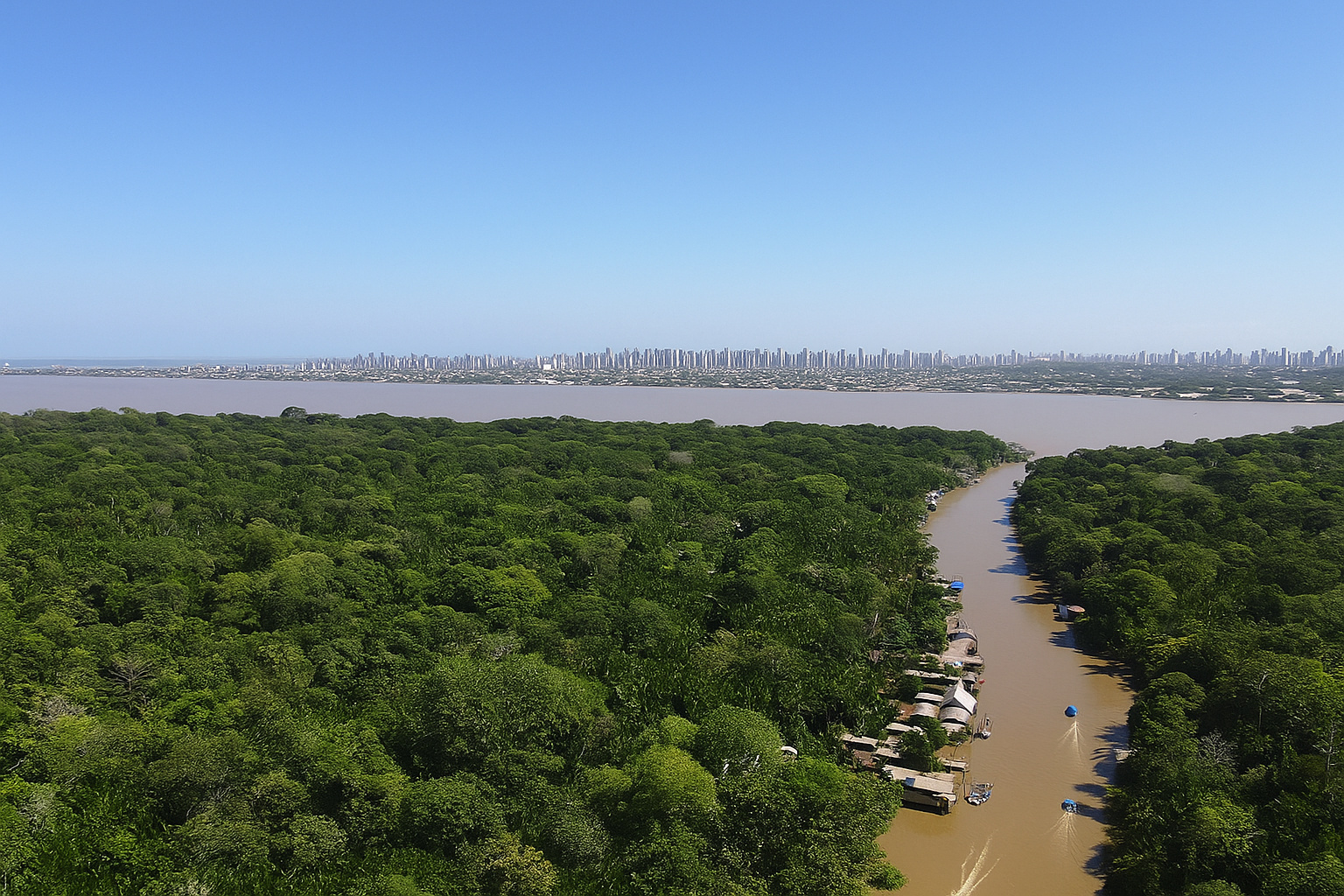 Vista aérea de rio e floresta com céu limpo e cidade ao fundo.