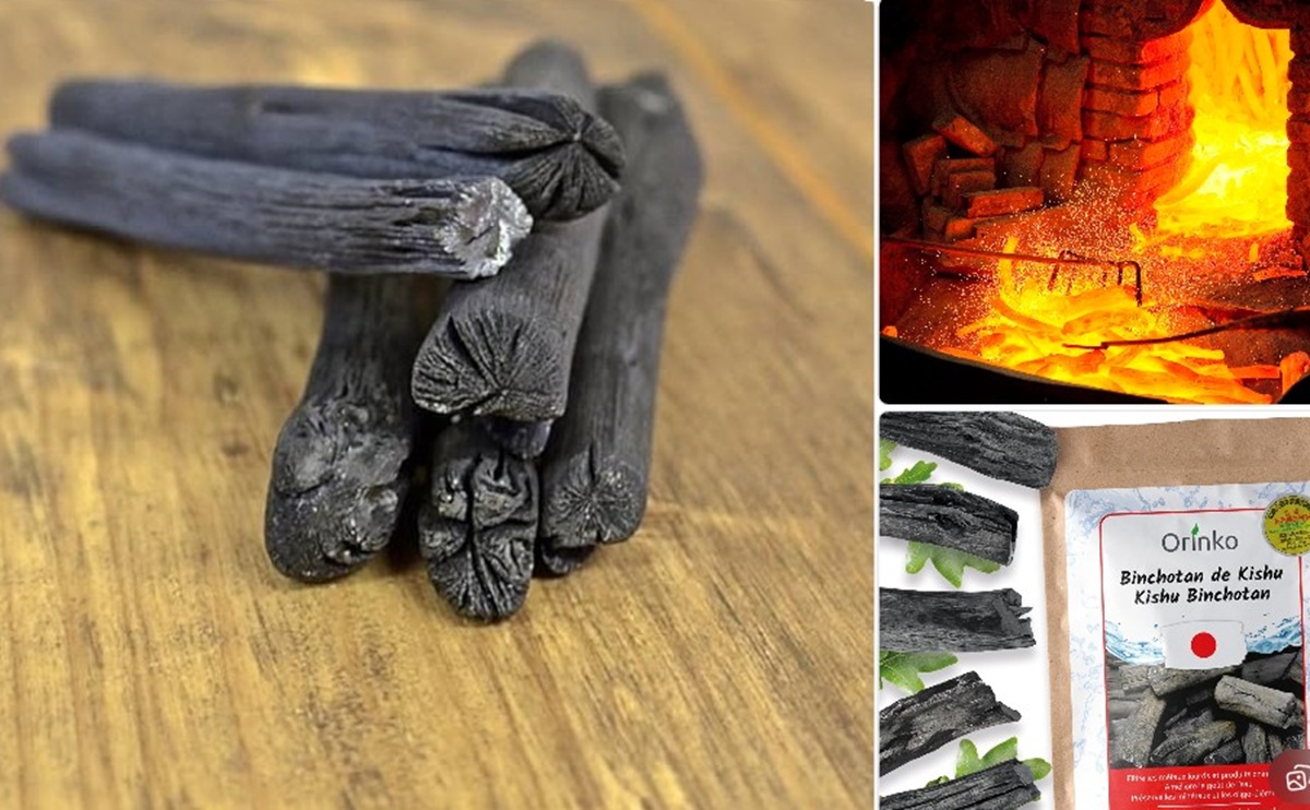 Binchotan é considerado o carvão de churrasco mais caro do mundo por sua produção artesanal, altíssimo teor de carbonpo