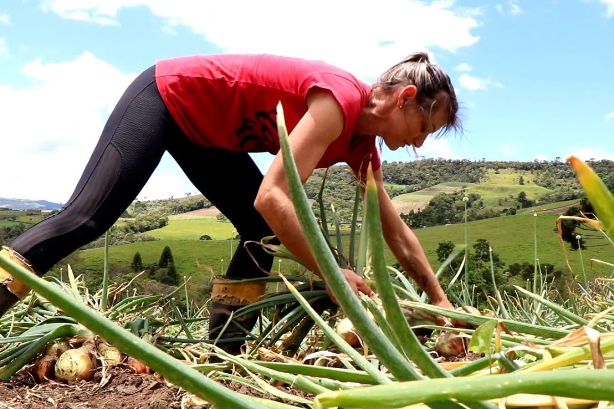 história de agricultora que assumiu a lavoura depois do divórcio