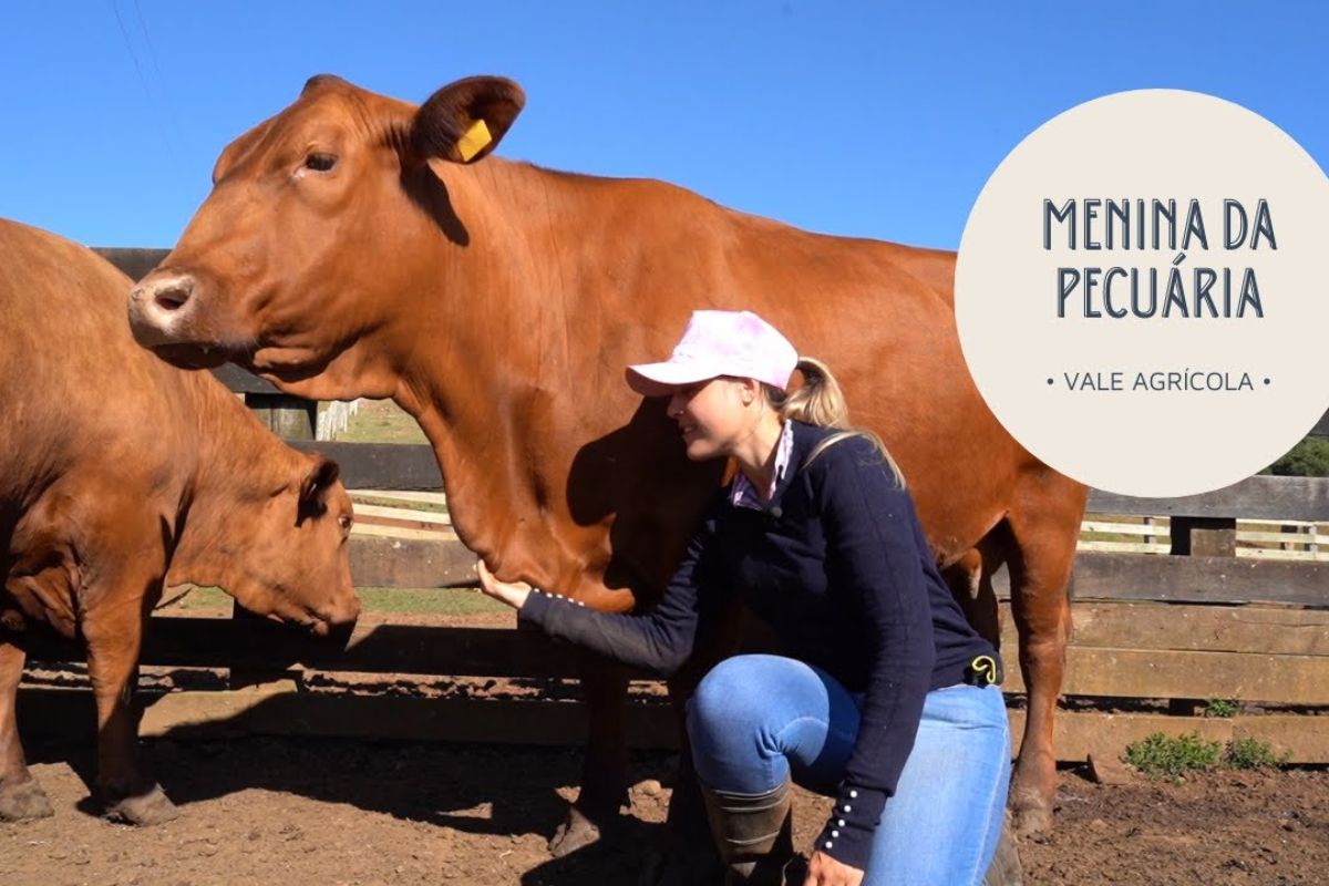 Na história da menina da pecuária, a fazenda em Santa Catarina vira vitrine de genética Senepol, gestão profissional e protagonismo feminino que inspira novos projetos no agro.