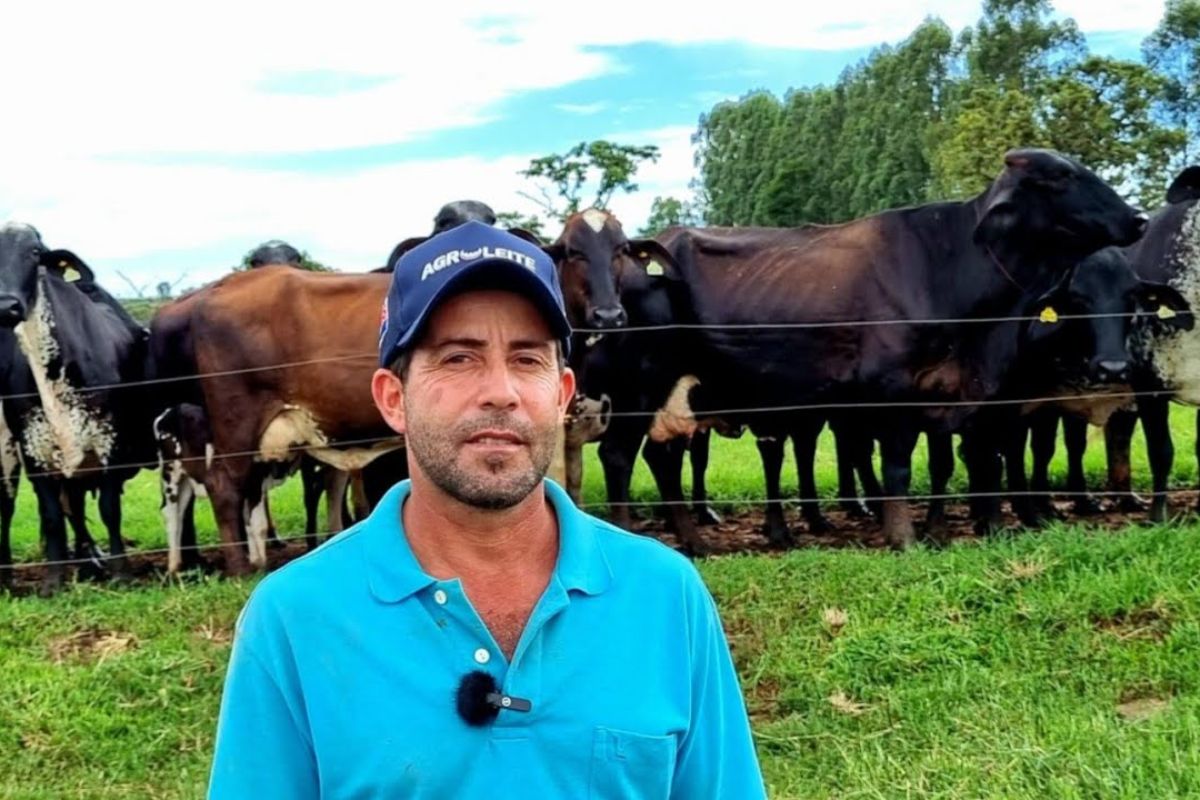 Na fazenda em Minas, a combinação de irrigação, manejo intensivo com 58 vacas e média de 1.200 litros de leite por dia mostra como planejamento e rotina pesada elevam a produção.