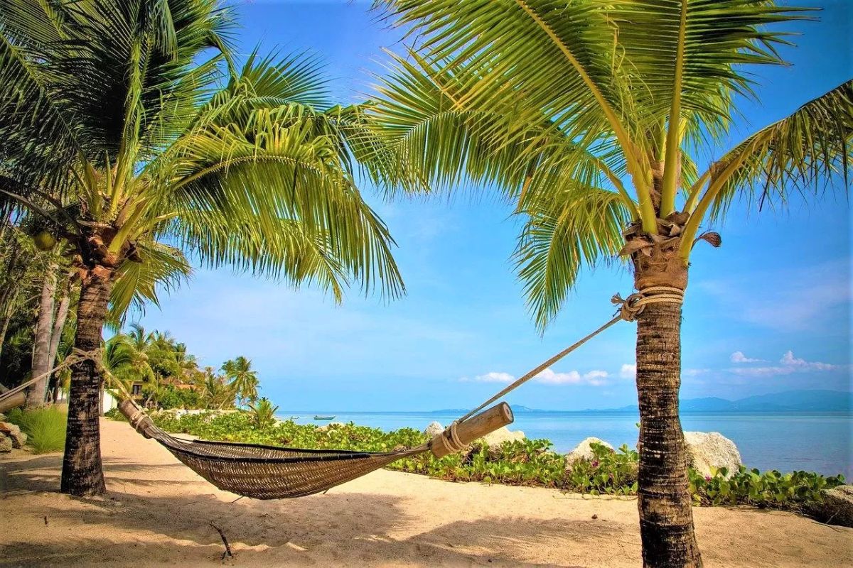 Saiba como a cidade brasileira conquista novos moradores: Fortaleza oferece qualidade de vida, clima de Terra do Sol e reúne os melhores bairros para morar em Fortaleza