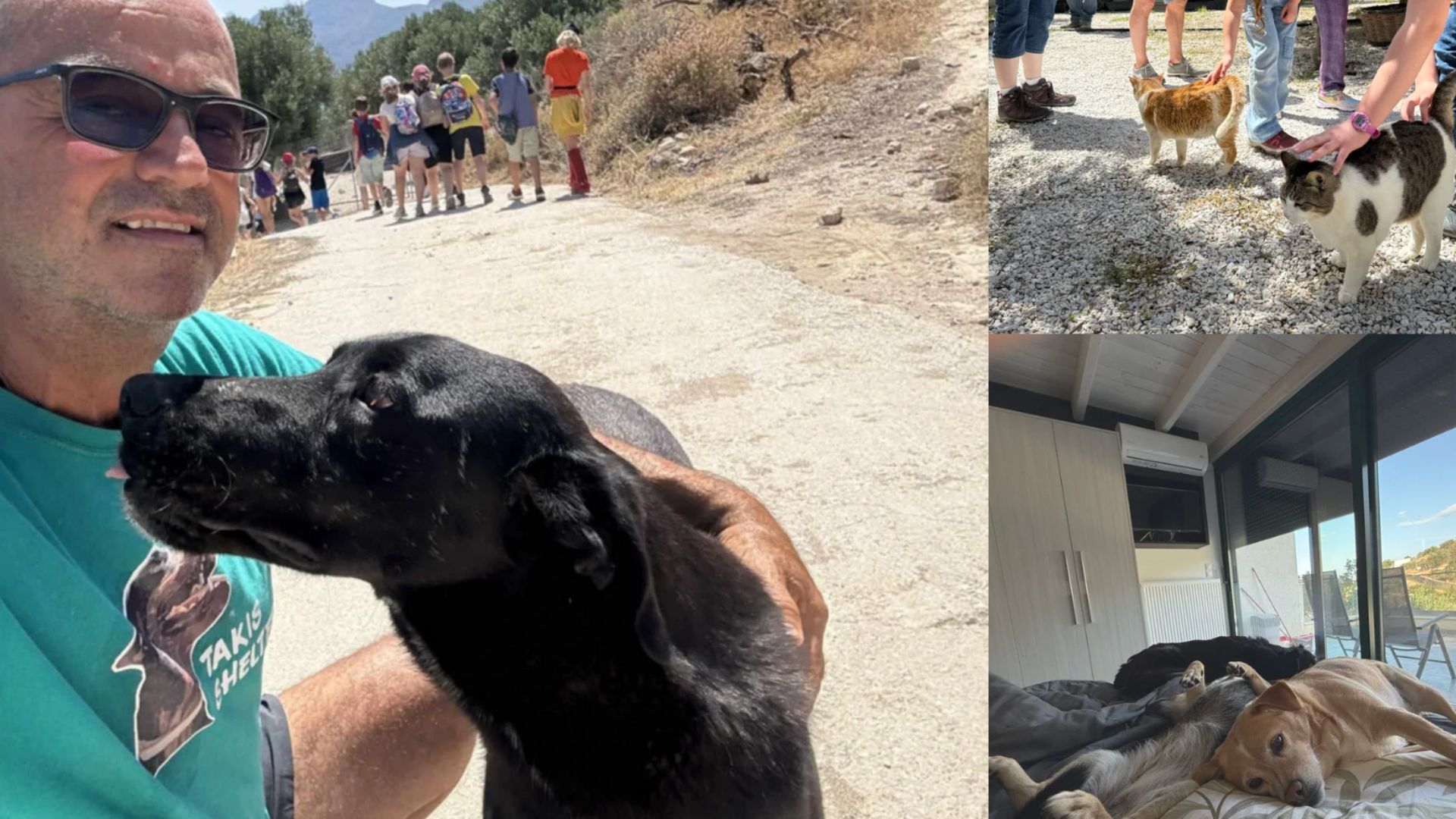 Um morador de Creta vendeu seus bens, investiu suas economias e transformou um lixão em abrigo que hoje acolhe centenas de cães e gatos abandonados.