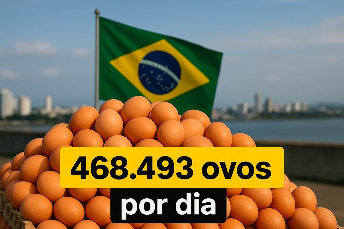 São Bento do Una reforça liderança no Nordeste com 171 milhões de ovos no ano e se destaca em um Brasil competitivo