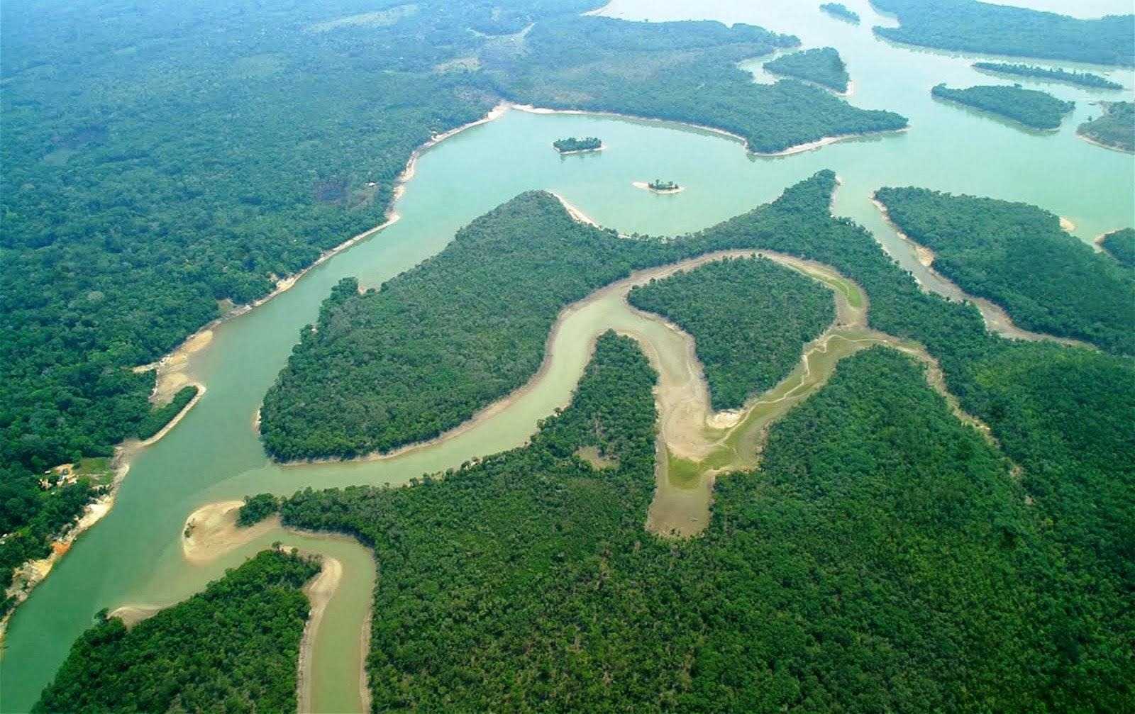 O maior rio genuinamente nordestino nasce no Piauí, percorre dois estados e forma um delta impressionante antes de desaguar no Atlântico.