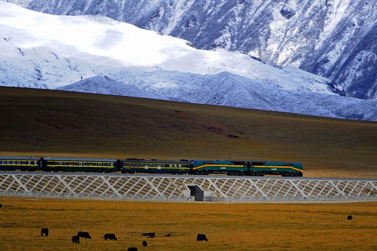 Viaje pelo teto do mundo em um trem que parte de Xining rumo a Lhasa, cruzando 1.956 km de altitude extrema em uma viagem que combina engenharia, cultura tibetana e paisagens de outro planeta.