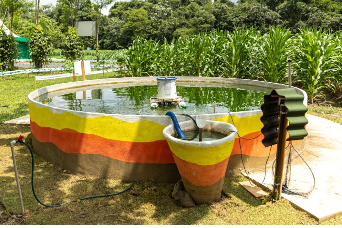 A agricultura urbana vem ganhando espaço como uma alternativa essencial para garantir segurança alimentar, sustentabilidade e adaptação climática nas cidades brasileiras