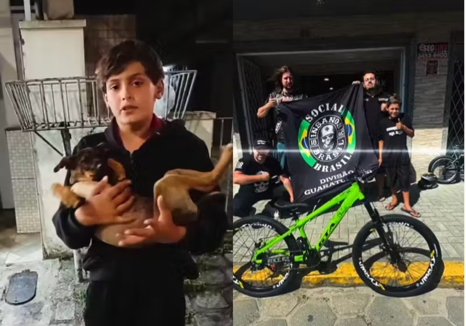 Bicicleta, Cachorrinha, Menino