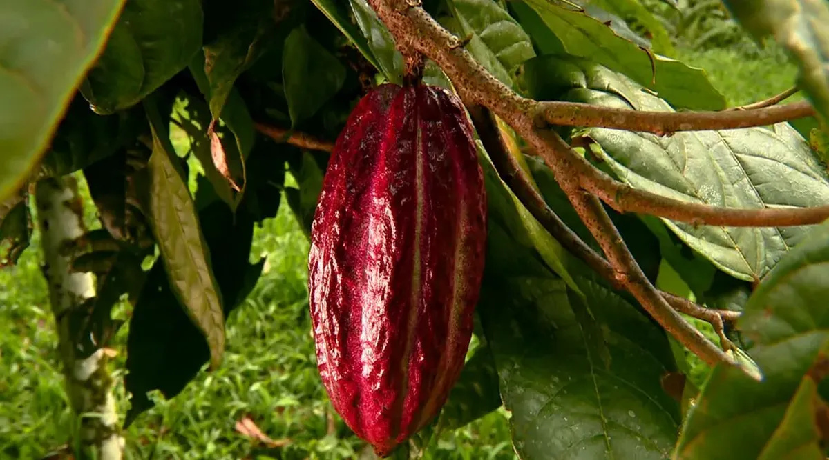 Frase 3D “Lei de isenção do IPVA 2026 em São Paulo” centralizada sobre a Avenida Paulista com carros e prédios ao fundo.