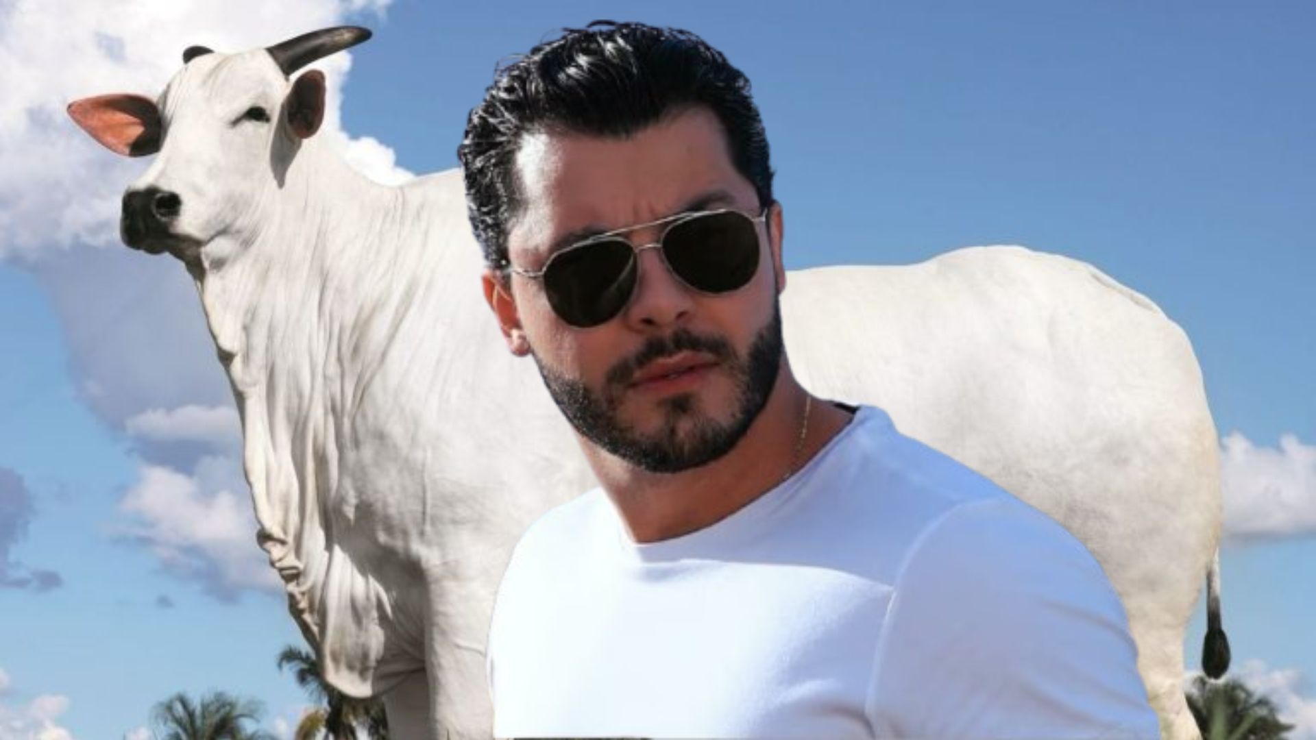 Leilão de gado de alto valor em cenário realista, relacionado ao debate sobre uso de patrimônio de menores.