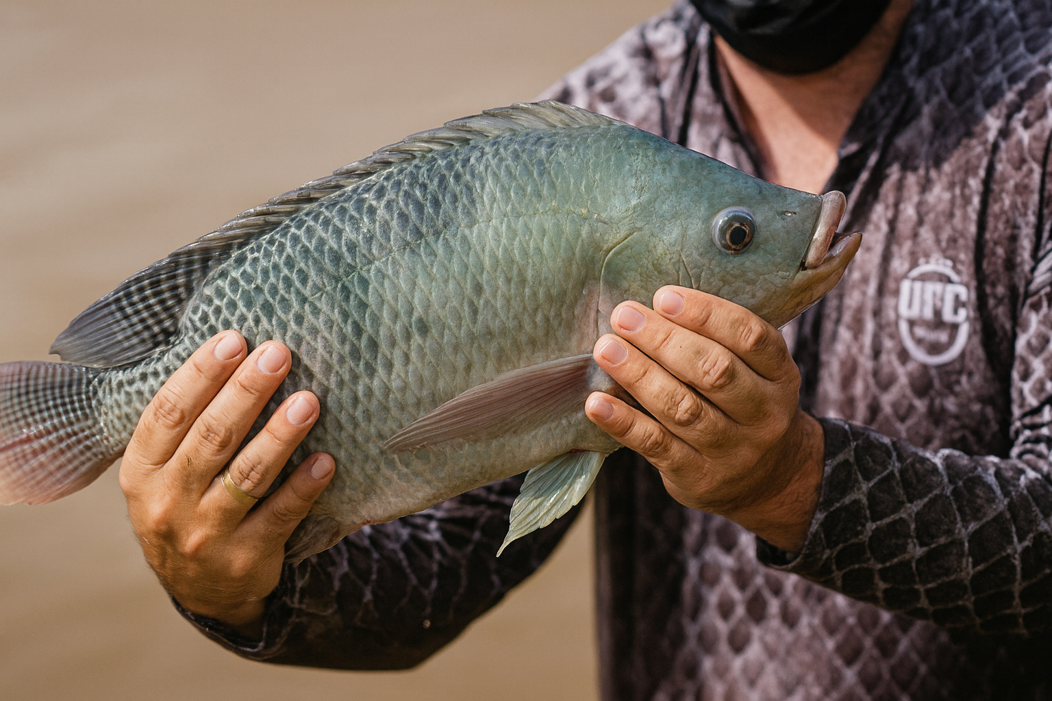 Pessoa segurando uma tilápia-do-nilo fresca, destacando as escamas usadas na produção de biotecidos para tratamentos oculares em cães.