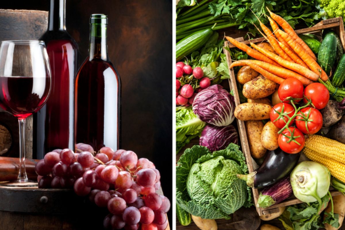 A recente atualização nas normas de fiscalização dos produtos de origem vegetal marca uma transformação importante na defesa agropecuária do país