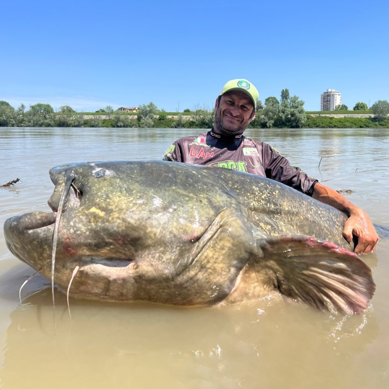 Pescador, Bagre gigante, Bagre