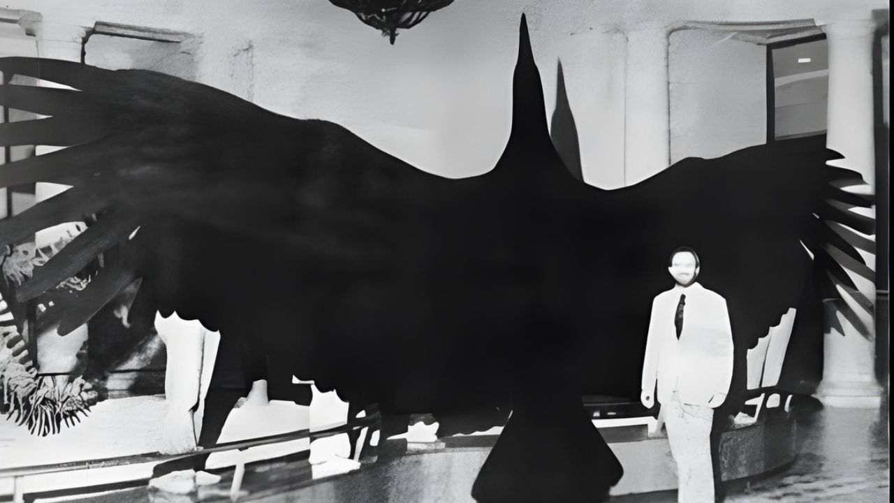 Com quase 8 metros de envergadura, peso comparável ao de um adulto humano e asas maiores que as de um avião leve, o Argentavis magnificens entrou para a história como a maior ave voadora que já existiu no mundo