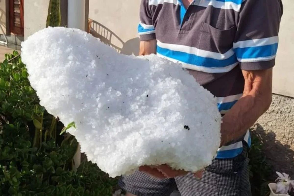 Produtores instalam canhão antigranizo para reduzir granizo e salvar uvas em lavouras de alto valor; vinícolas gaúchas tentam proteger safras e pressionam por apoio público.