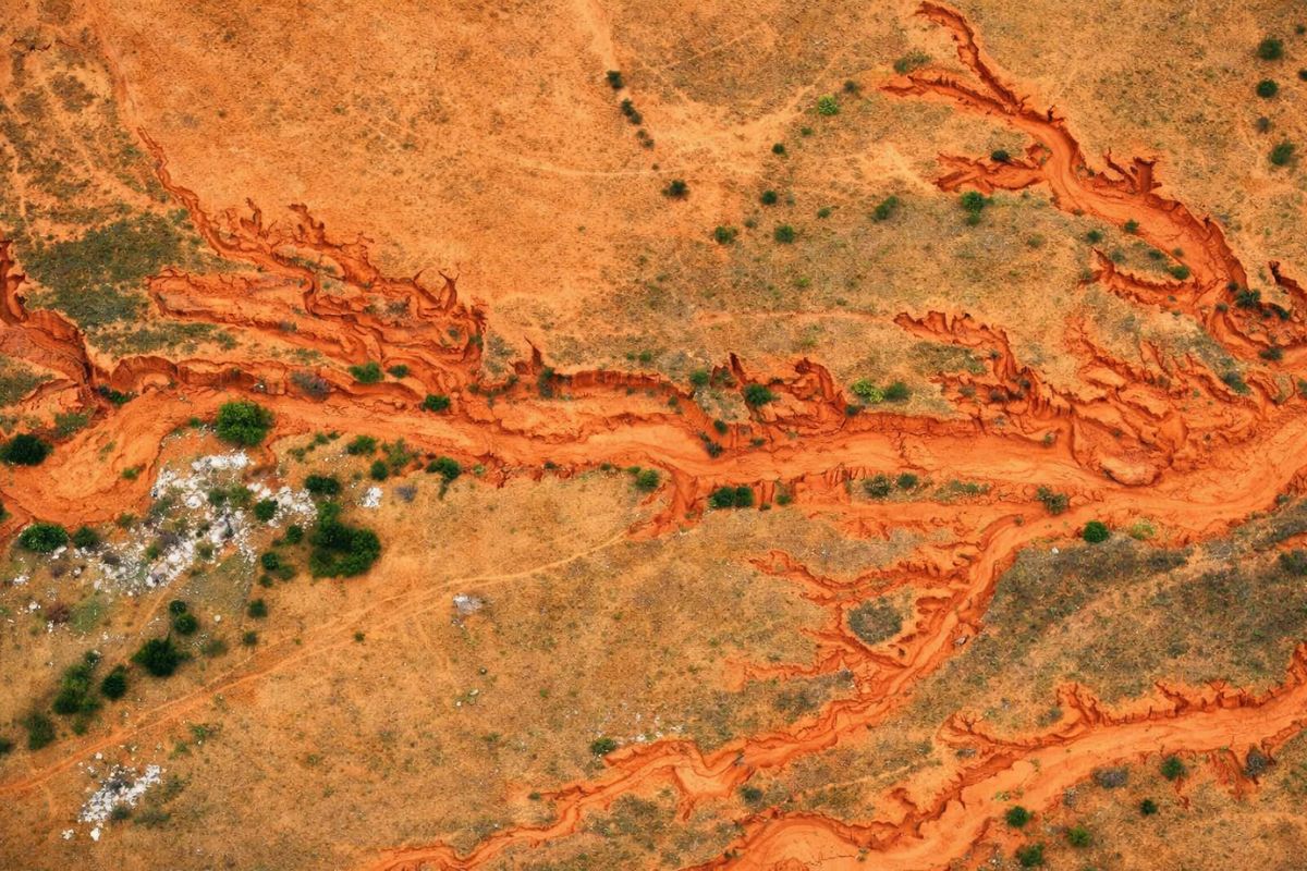 Comunidades da Etiópia regeneram florestas inteiras sem máquinas, sem mudas e sem dinheiro, despertam raízes antigas, recuperam água, restauram 43 mil hectares (2)