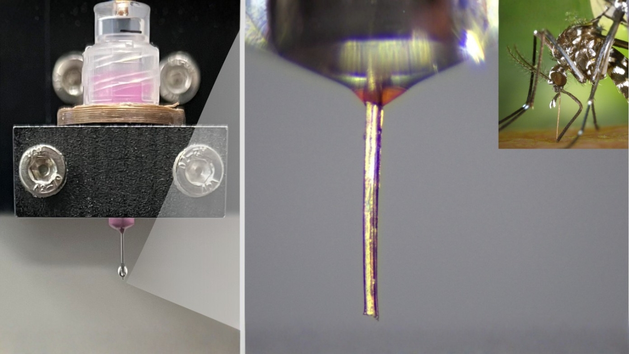 Método transforma a probóscide do mosquito em bico de impressão e abre caminho para fabricar estruturas microscópicas com mais precisão