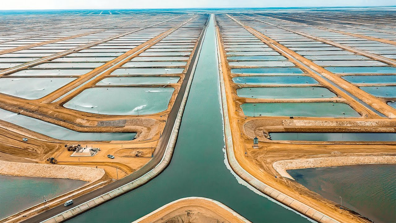 No meio do deserto, com tanques no Lago Bardawil e expansão em larga escala, o Egito cria um megaprojeto estatal de aquicultura para transformar áreas improdutivas em um novo polo de produção de peixes no Mediterrâneo