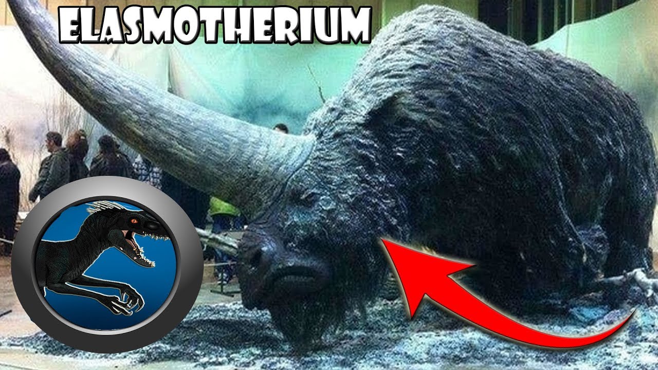 Maior que um rinoceronte moderno, com mais de 4.000 kg, ultrapassava 5 metros de comprimento e tinha um chifre colossal de 1,5 metro: o Elasmotherium entrou para a história como o maior “unicórnio” que já existiu na Era do Gelo