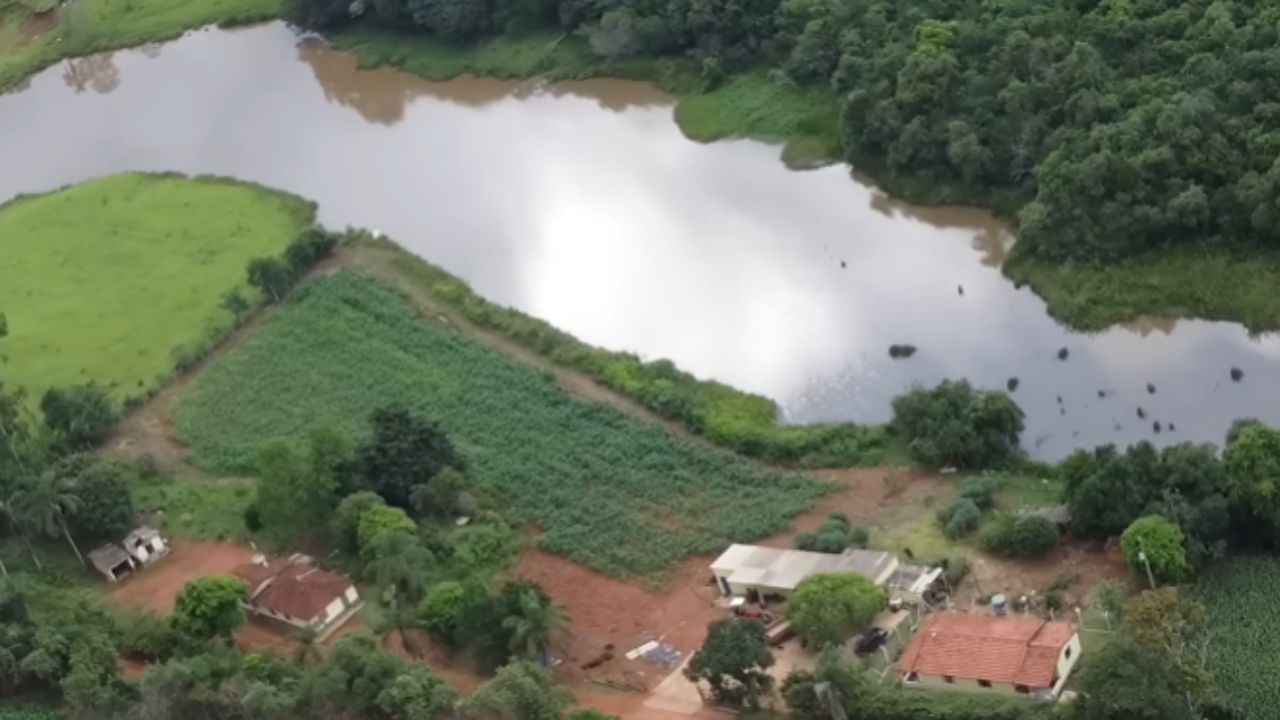 Família transforma meio alqueire em paraíso produtivo sem pagar luz, sem gastar para puxar água e vivendo só do que plantam autossuficiência real, roda d’água