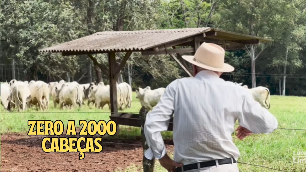 Fazendeiro revela como construiu império pecuário sem pressa, com Nelore de alta genética, usina solar, cinco represas, roda d’água que não gasta energia e um sistema