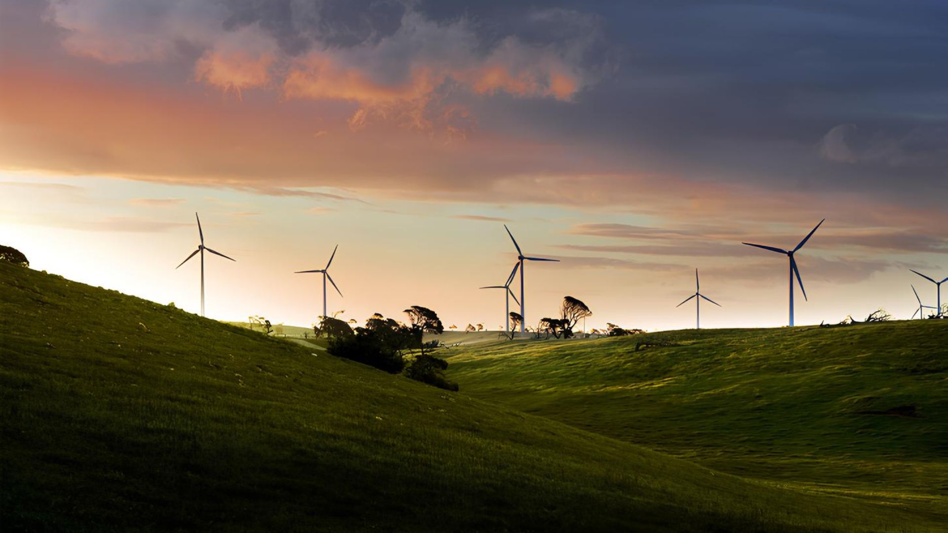 Parque eólico em área rural com turbinas eólicas instaladas sobre colinas verdes ao entardecer, representando a geração de energia eólica e a transição energética sustentável.