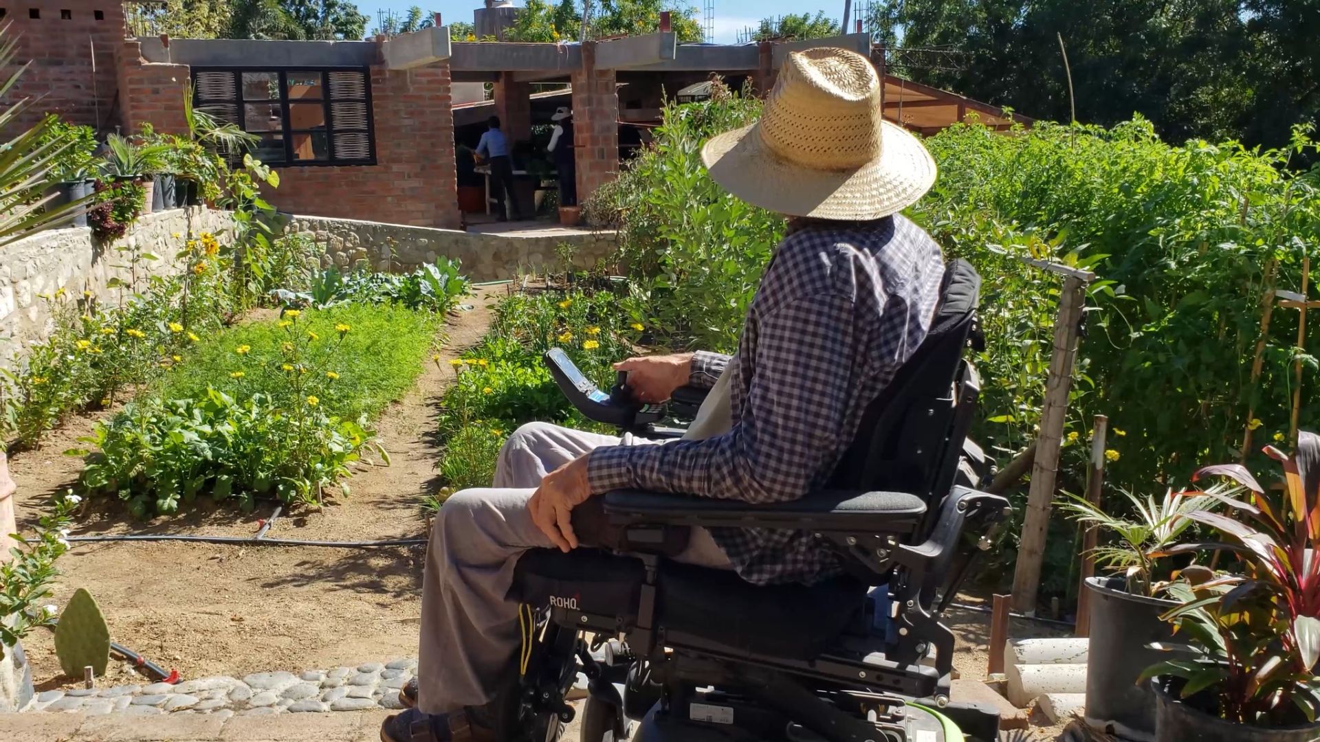 Agricultor transforma areia do deserto em solo fértil usando biochar, escavação profunda e manejo orgânico, produzindo 60 cultivos.