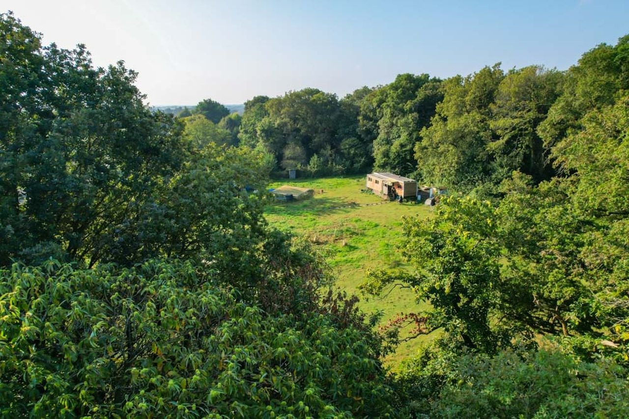 minicasa, Trailer, Floresta