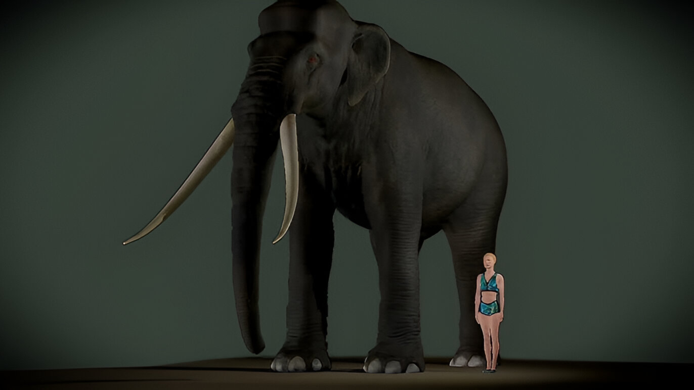 Maior que um rinoceronte moderno, com presas curvas que podiam chegar a 3 metros e peso estimado acima de 6 toneladas, o Palaeoloxodon namadicus surge como o principal candidato ao posto de maior elefante que já existiu na história da Terra