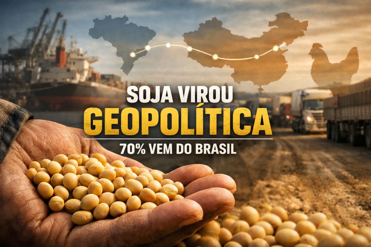 China compra tanta soja do Brasil porque a soja brasileira supre demanda chinesa por soja, vira ração de porcos e frangos e sustenta o agronegócio brasileiro.