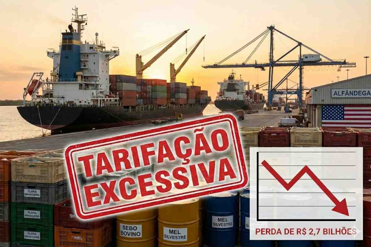 Tarifaço pressiona o agro brasileiro: exportação enfrenta sobretaxa de 40% e risco para tilápia e outros produtos, afetando todo o setor.