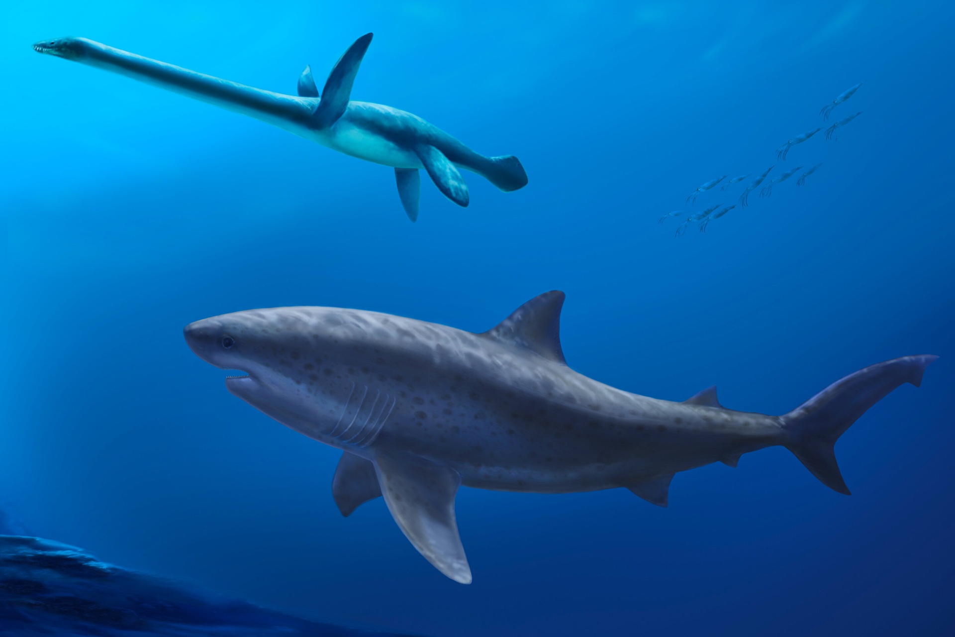 Um mega-tubarão ancestral dominou os mares australianos 15 milhões de anos antes do megalodonte.