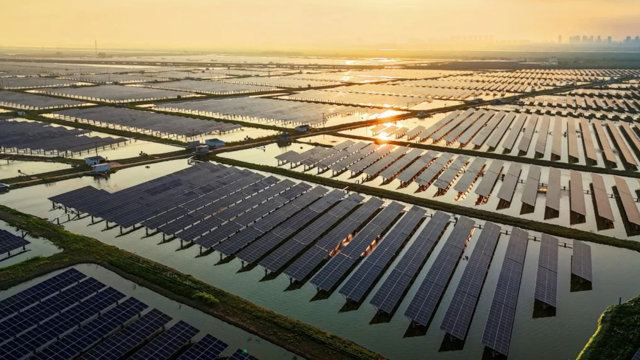 Austrália lança programa que garante horas de eletricidade gratuita, reduz a conta de luz e reorganiza o consumo em meio à expansão das energias renováveis.