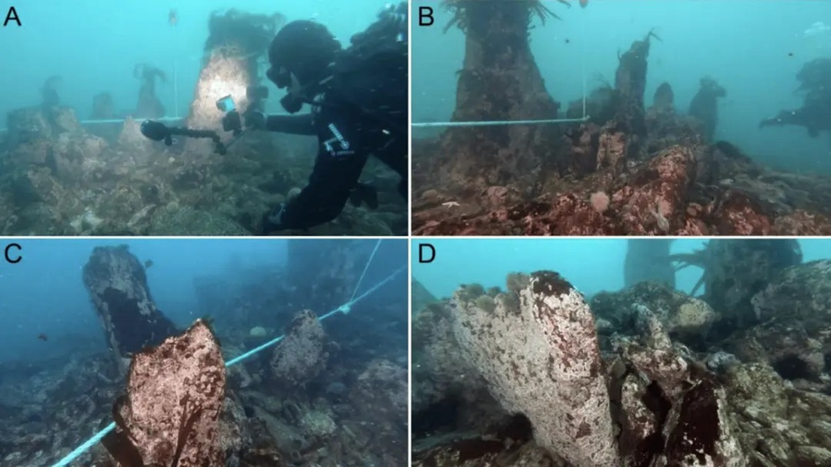Muralha submersa de 117 metros e 7.000 anos na costa da Bretanha revela engenharia avançada do Mesolítico e desafia cronologia da inovação humana.