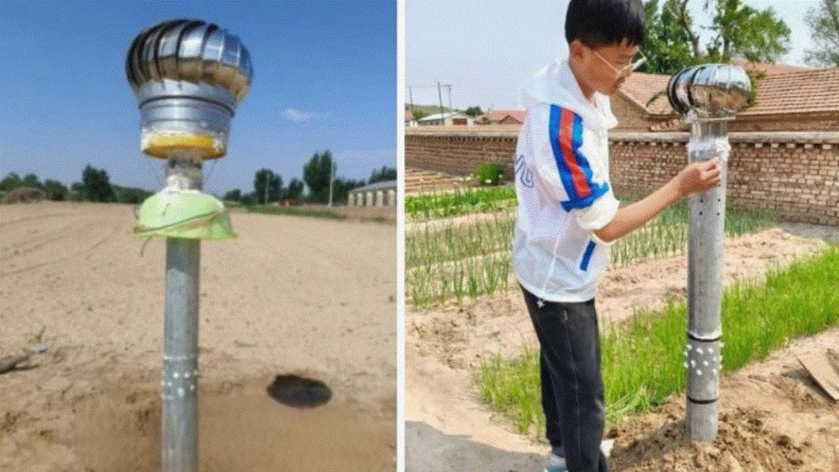 Adolescente chinês cria sistema de condensação com tubos e garrafas reutilizadas para irrigar plantações